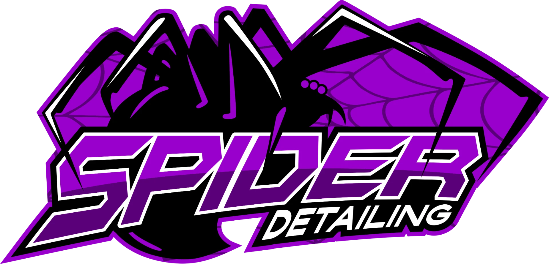 Spider Detailing